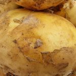 Cuándo plantar patatas según el calendario lunar en 2026 para cosechar el doble de lo habitual cuando-plantar-patatas-segun-el-calendario-lunar-en-2026-para.jpg